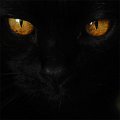 nerone