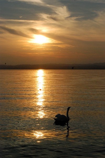 tramonto_vert.jpg