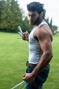 Wolverine