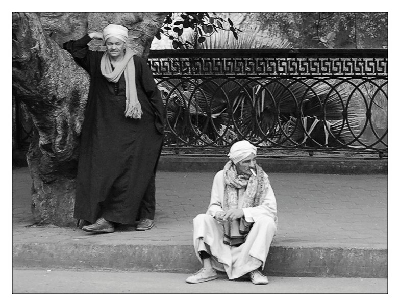 ilcairo02.jpg