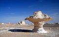 deserto_bianco02_fungo