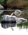 riflesso01