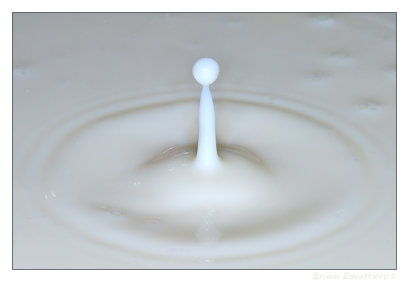 latte01.jpg