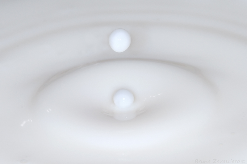 latte06.jpg