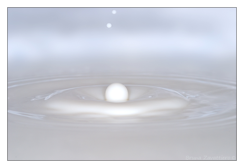 latte07.jpg