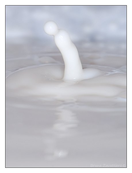 latte08.jpg