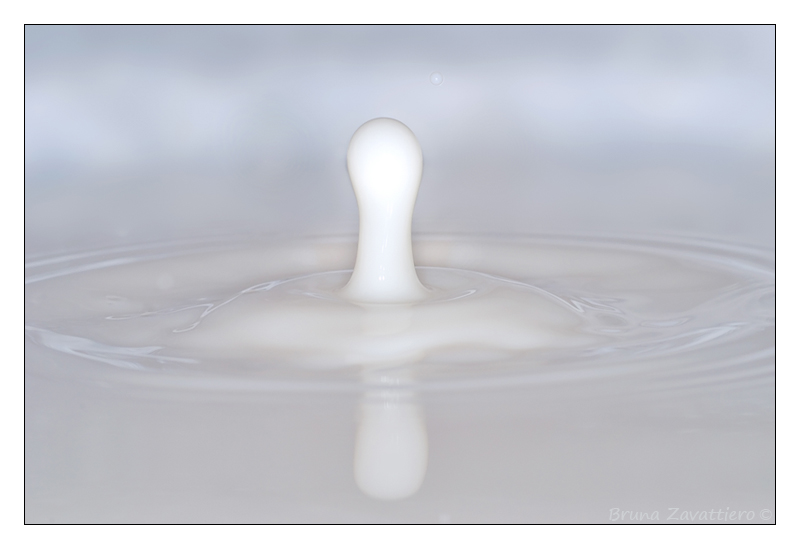 latte09.jpg