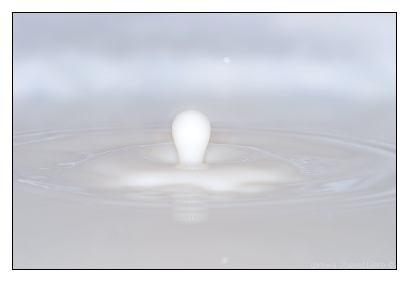 latte10.jpg
