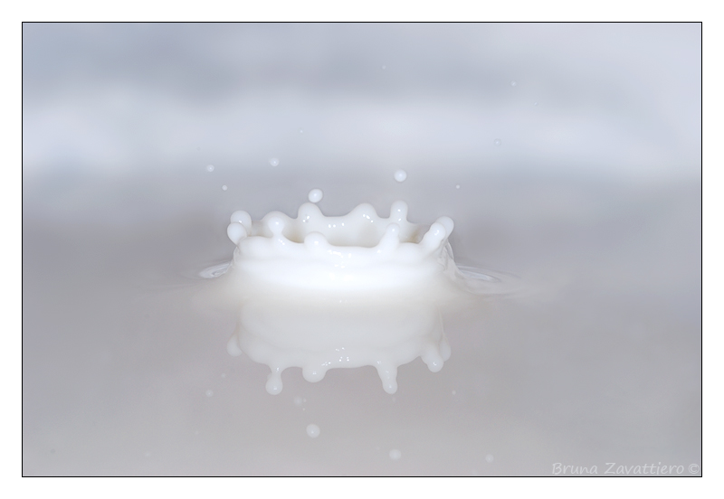 latte_splash03.jpg