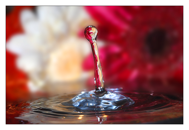 splash01.jpg