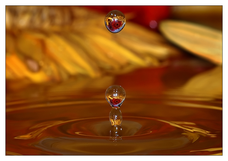 splash03a.jpg