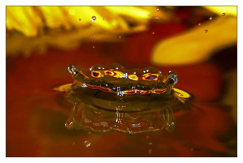 splash04a.jpg