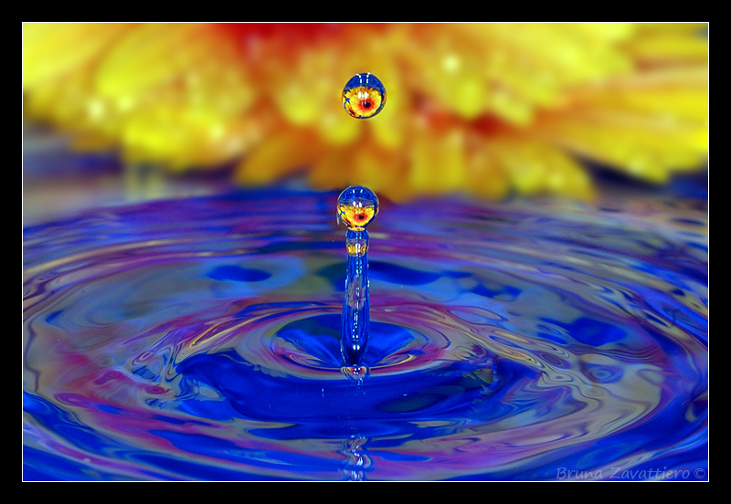 splash05.jpg