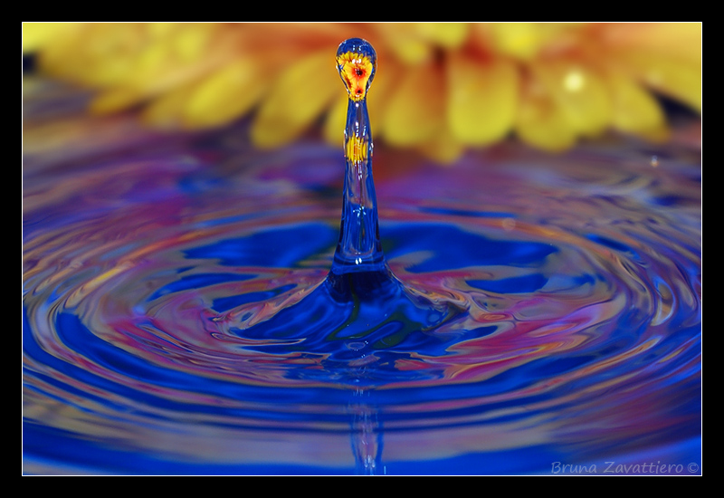 splash06.jpg
