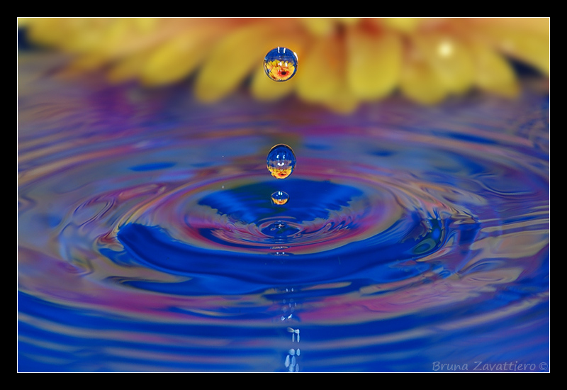splash07.jpg