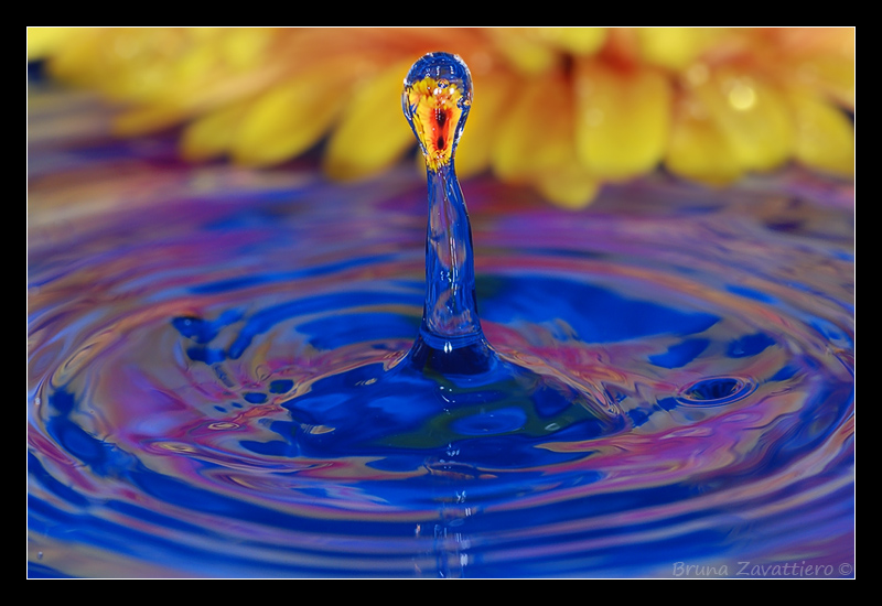 splash08.jpg