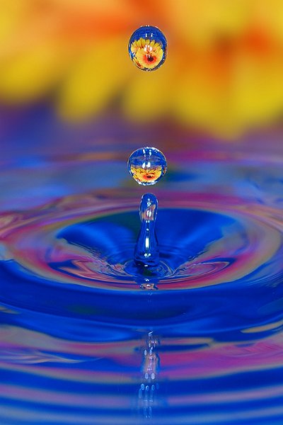 splash10.jpg