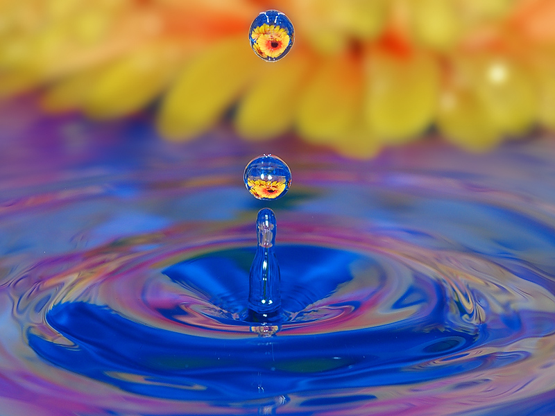 splash11.jpg