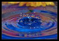 corona01