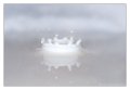 latte_splash03