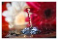 splash01