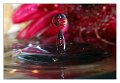 splash02a