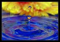 splash05