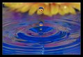 splash07
