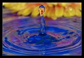 splash08