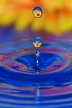splash10