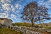 lessinia-autunno20-02