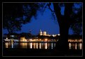 avignone_ora_blu_comp
