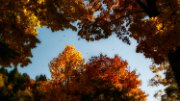 autunno12_03a