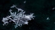 fiocco_neve02a